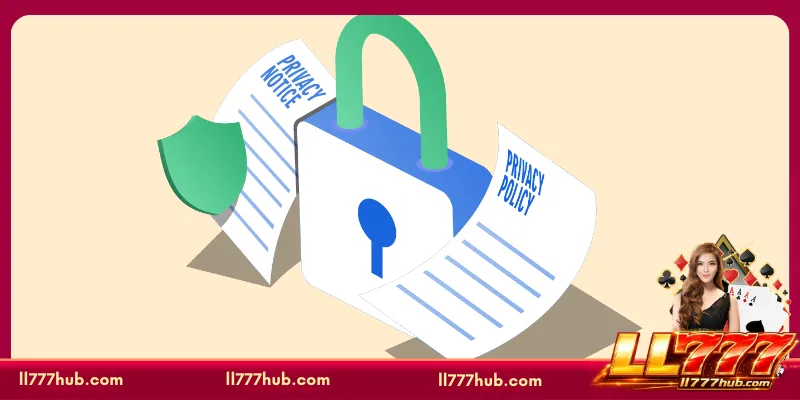 LL777 Privacy Policy on Data Collection and Usage Standards